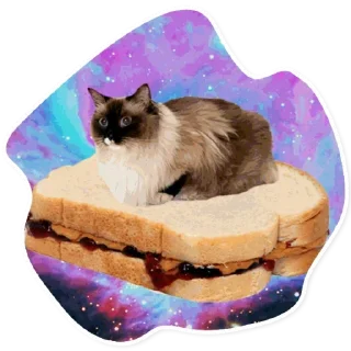 🍞