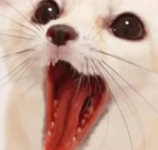 😃
