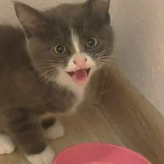 😡