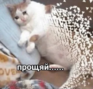 😭