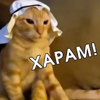 😡