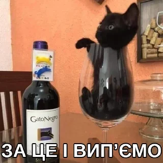 🍷