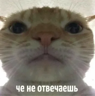 🤨