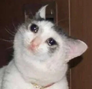 🥺