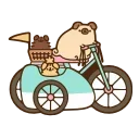🚲