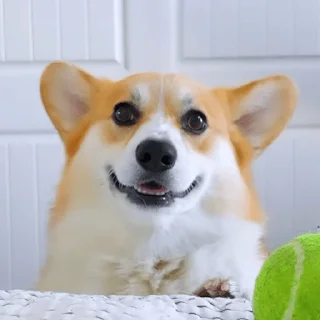 🙂