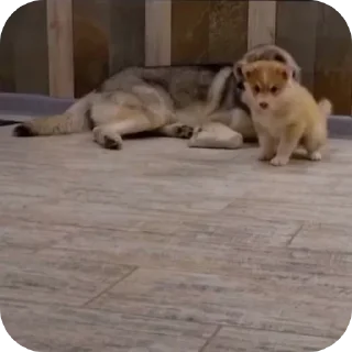 👍