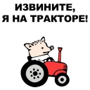 🐷