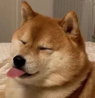 💓
