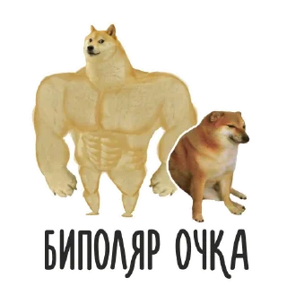 😂
