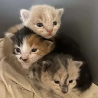 😇