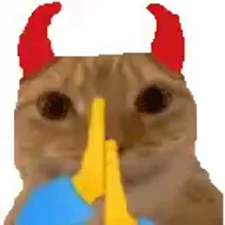 😾