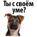 😁