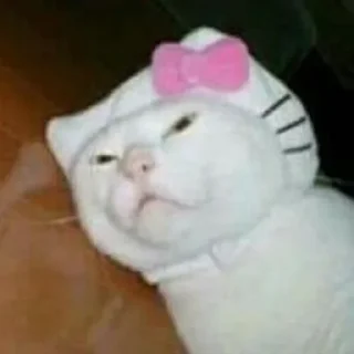 🎂