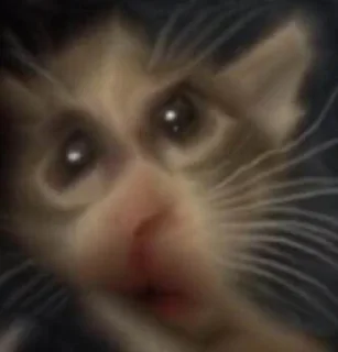 😧