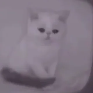 😭