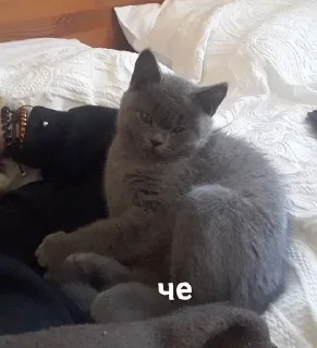 🤨