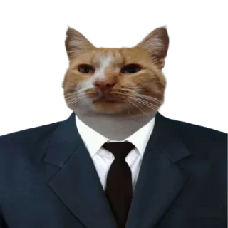 👨‍⚖️