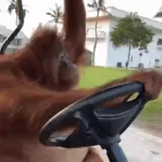 😎