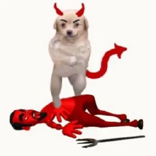 🐶