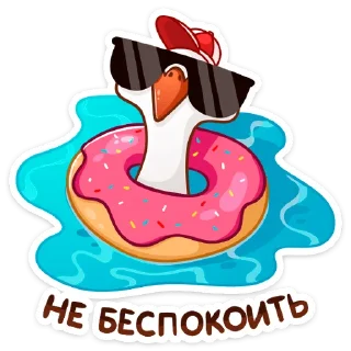 😎