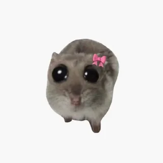 🎀
