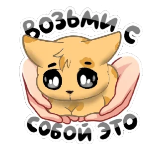 ★ Ⳑυⲛⲛ ? ★