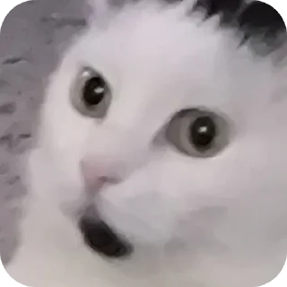 👀