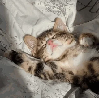😴