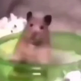 🤪