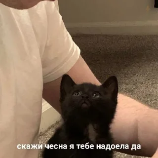 ☹️