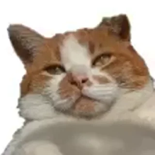 😎