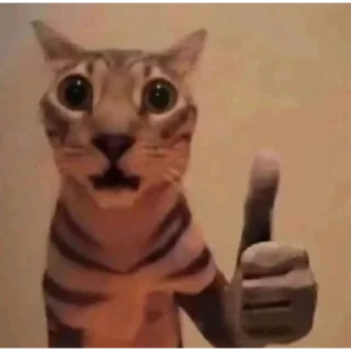 👍