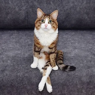 🤨