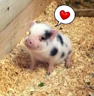 ❤️