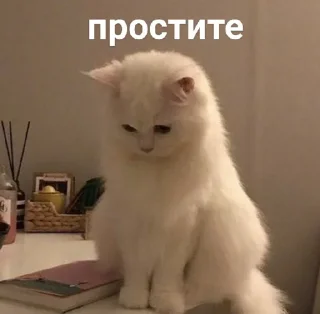 😞
