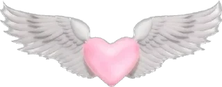 💗