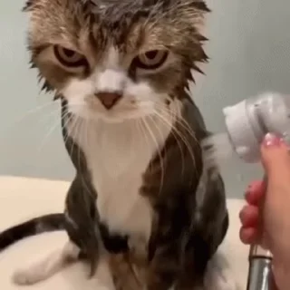 😑