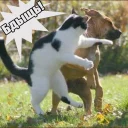 👊