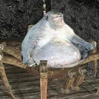 😶
