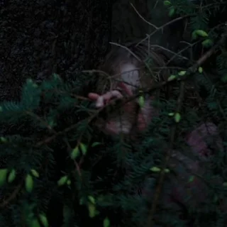 🌲