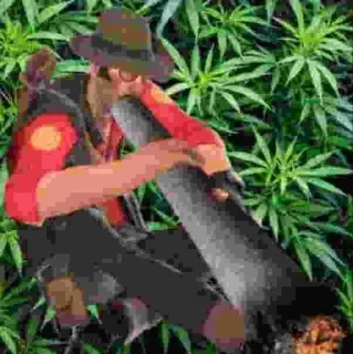 🌿