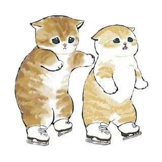 🐱