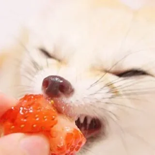 🍓