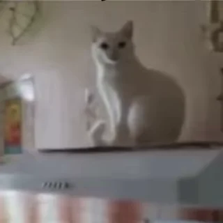 👋
