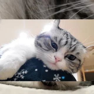 😊