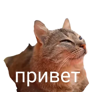 😔