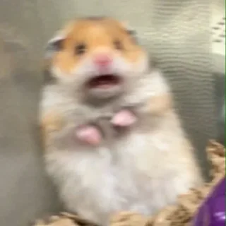 😮