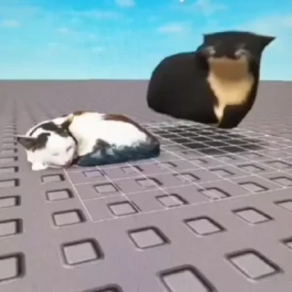 😴