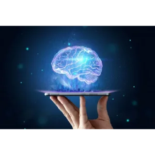 🧠